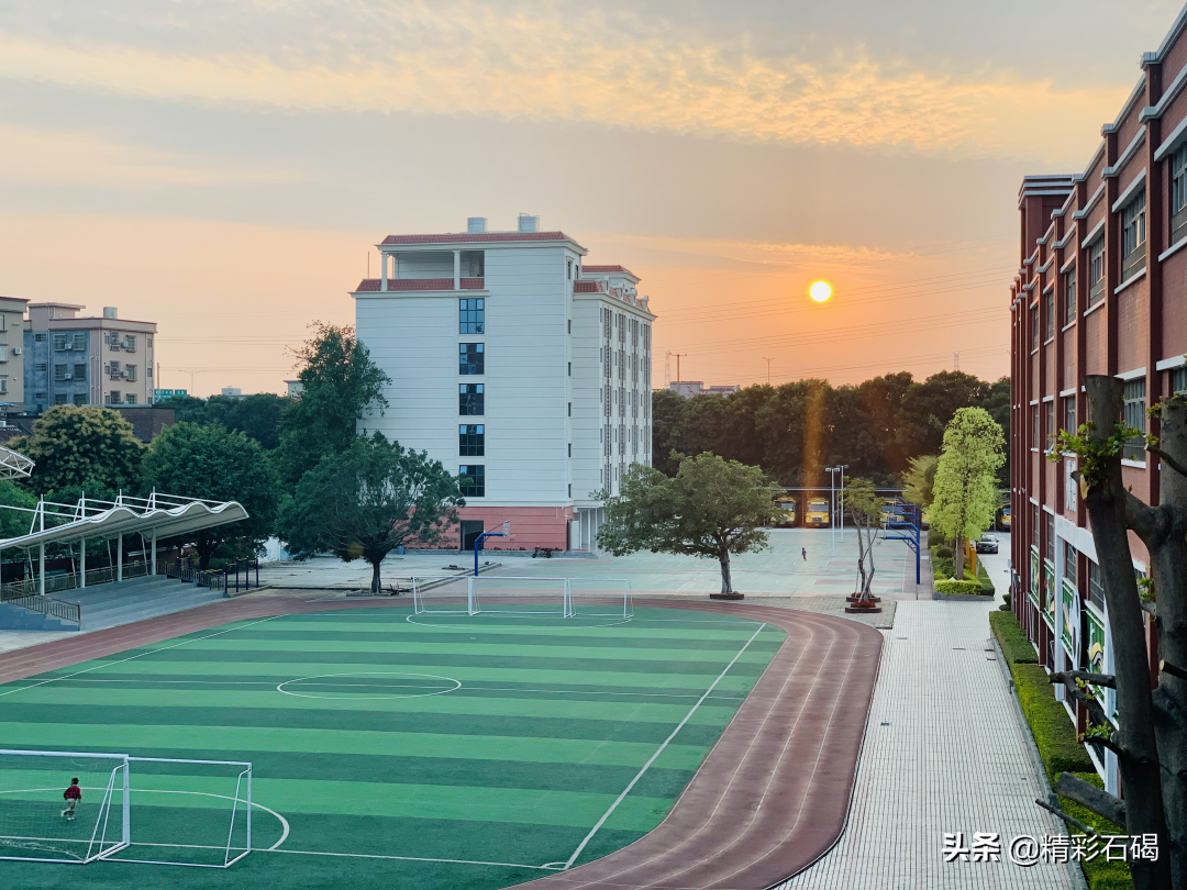 中山市三角四海小学图片