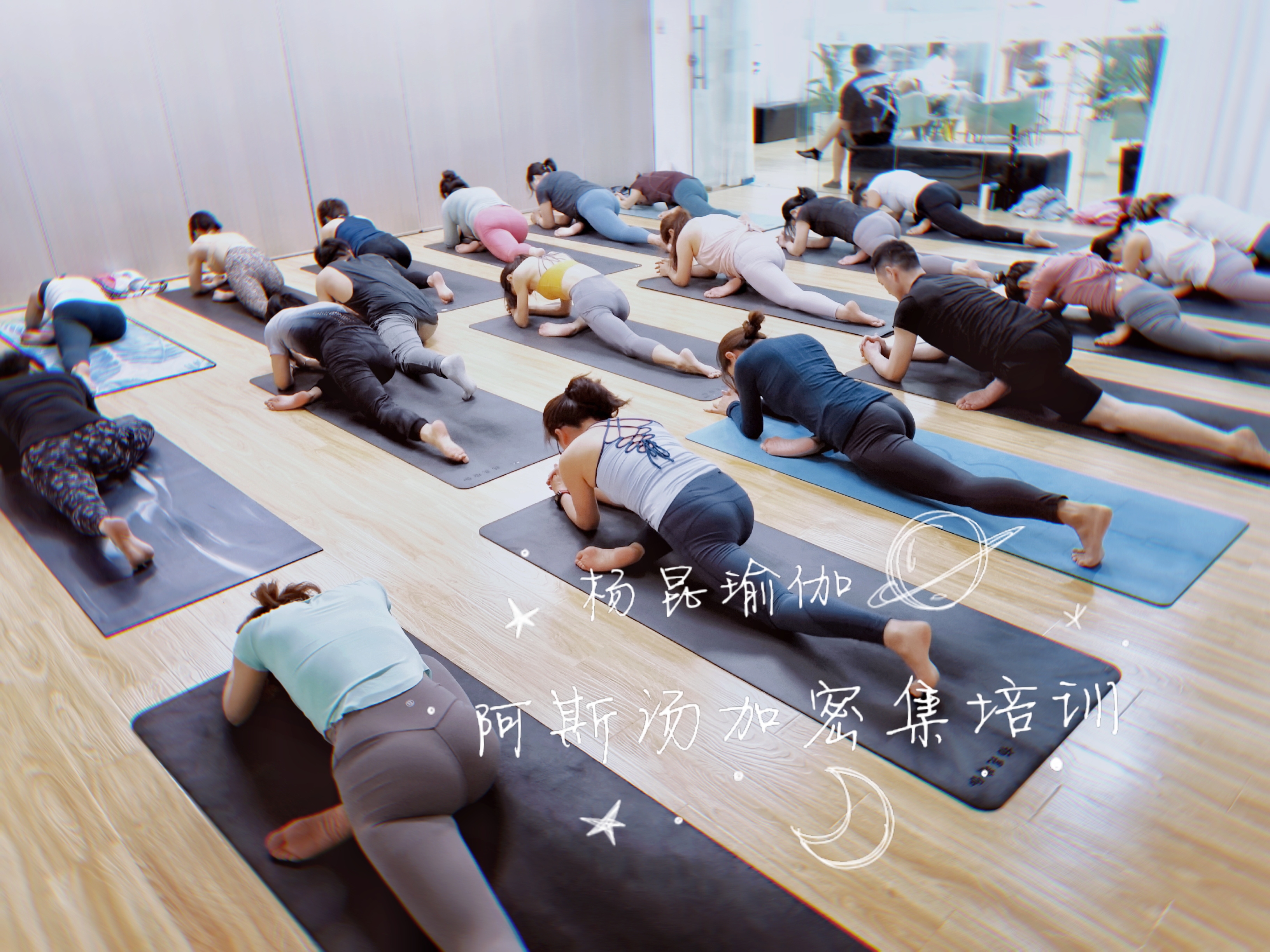 「杨昆瑜伽」基础瑜伽教练培训，专为零基础的你而定制