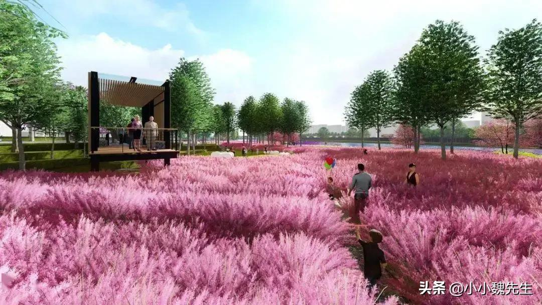 珠海航空新城房价从何时起敢卖3万？还有老牌学区进驻，凭什么？