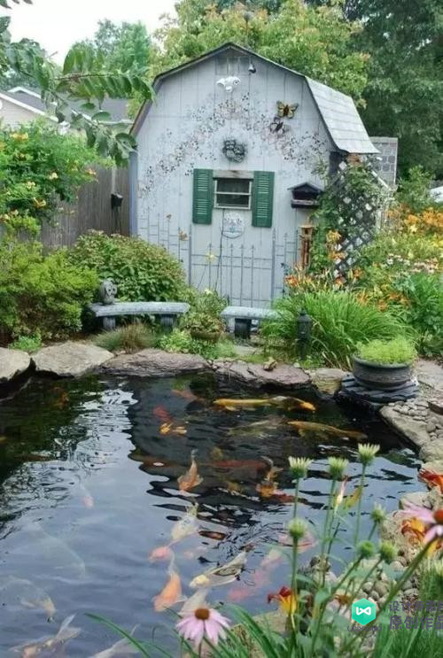 庭院鱼池都有哪些样式庭院鱼池样式图