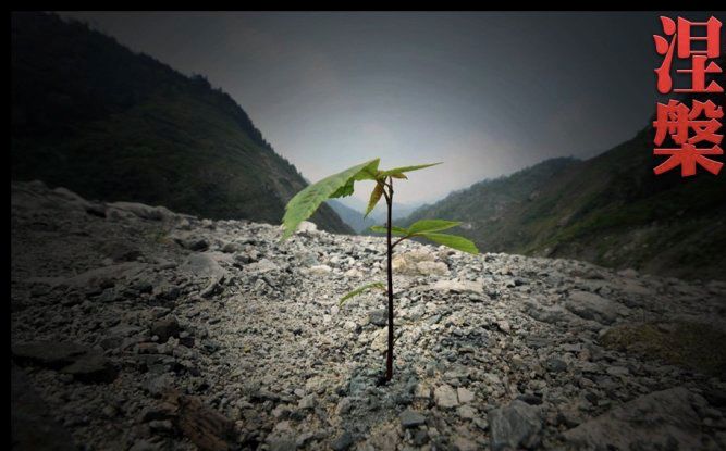 汶川地震和奥运会差了多久(汶川大地震11年：你想象不到中国经历了什么！)