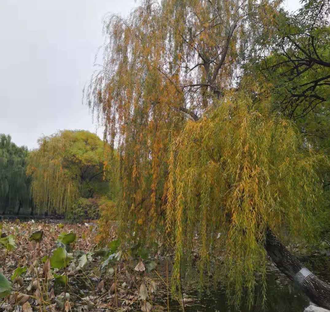 跨专业考研=浪费大学四年？考研到底要不要跨专业？