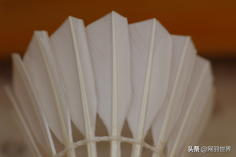 羽毛球什么规格的重（你喜欢羽毛球运动，但你知道羽毛球吗（三））