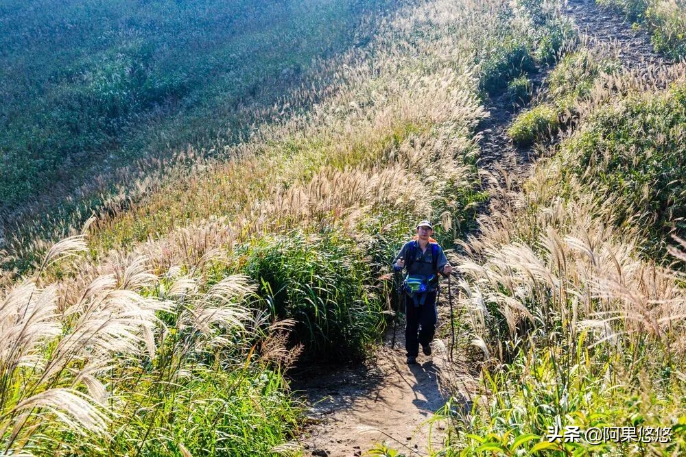 拾阶上险峰(自虐武功山)