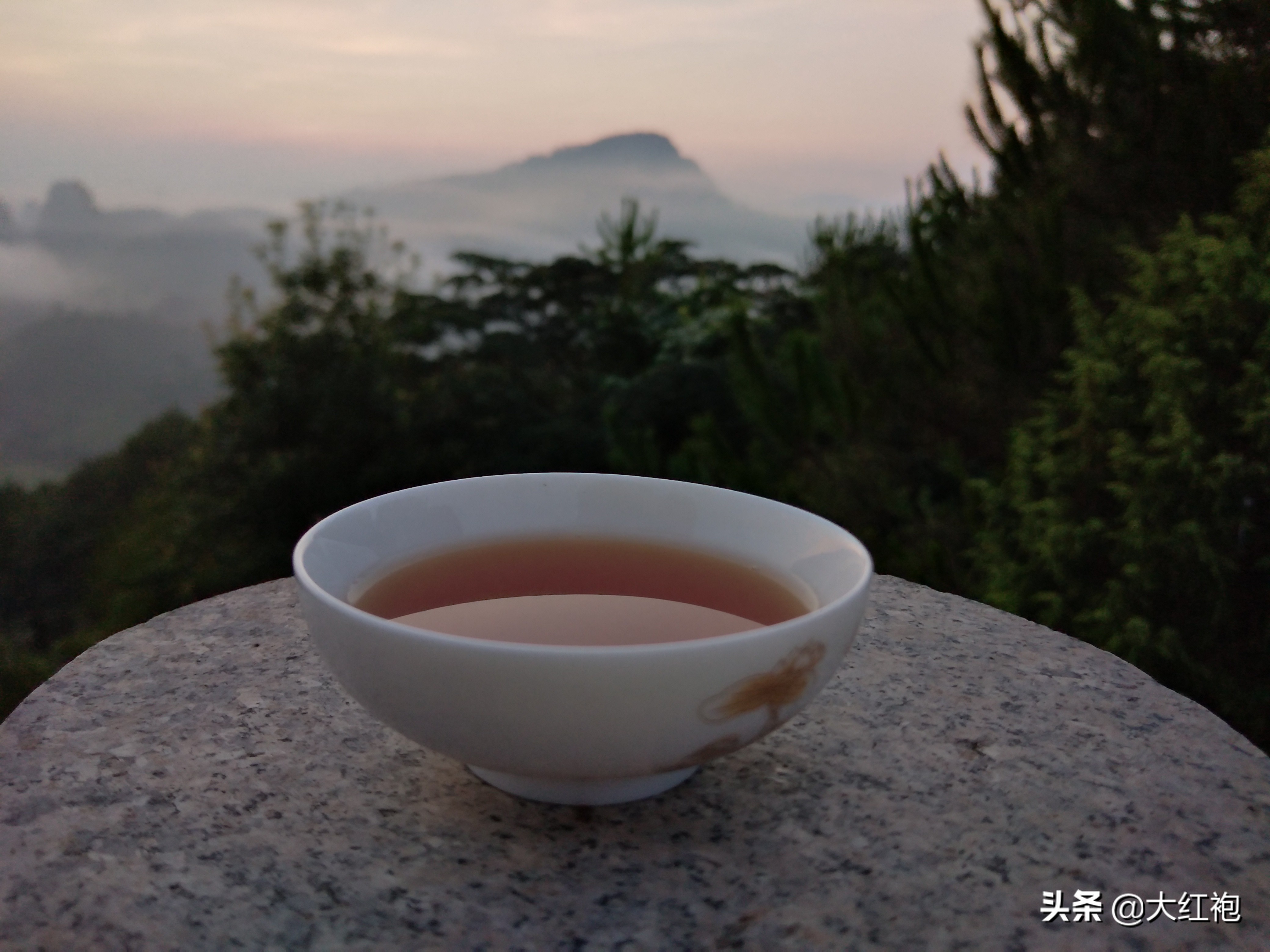 如何品鉴武夷山一线天正岩山场的肉桂，让制茶师父告诉你