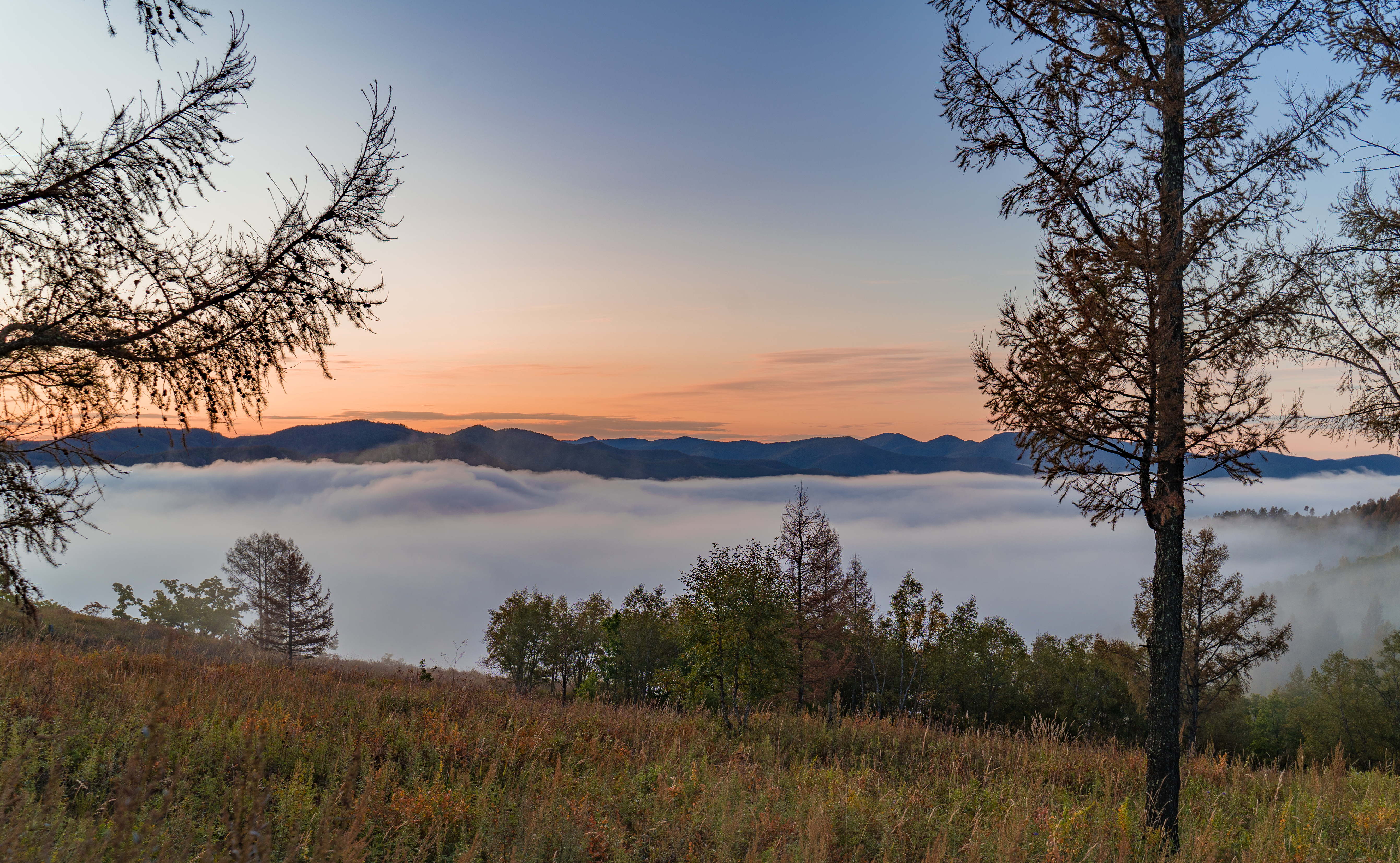 自驾6000公里,拥抱金色呼伦贝尔(一):如诗如画的柴河