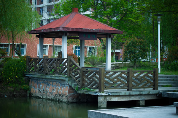 嘉兴学院——中国有色行业培养经济管理人才的“摇篮”