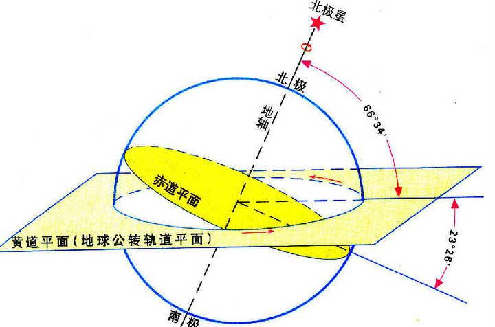 亚马逊雨林危险动物排行榜：揭秘人类禁区中的致命杀手