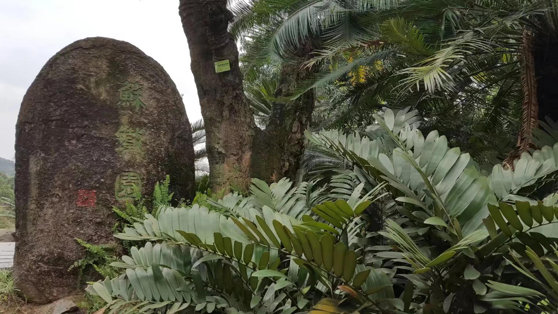 广州华南植物园 广州华南植物园烧烤场-徐拾记官网