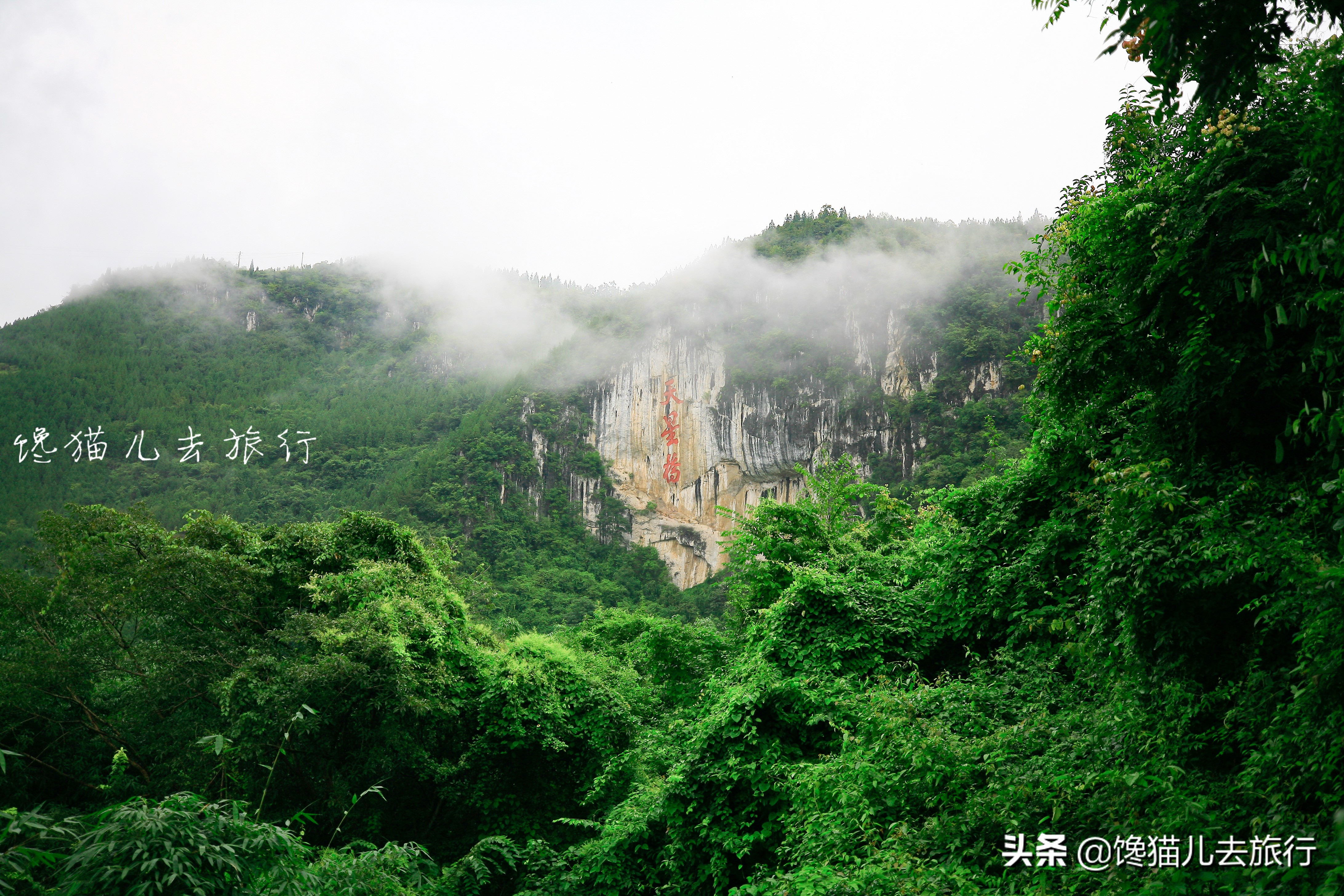 贵州早就该成为热门旅游地了，但确实不适合旅行团，更适合自由行