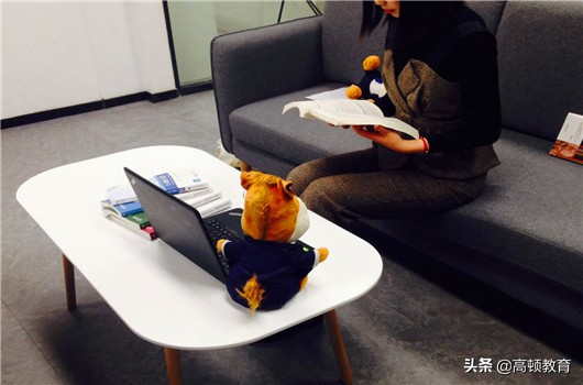 注册会计师还可以同步考中级职称、税务师？科目千万别搭配错了