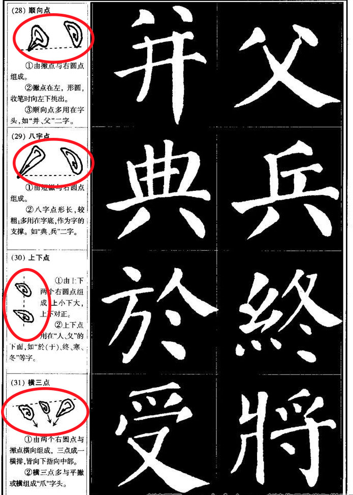 什么是直人女直又是什么呢