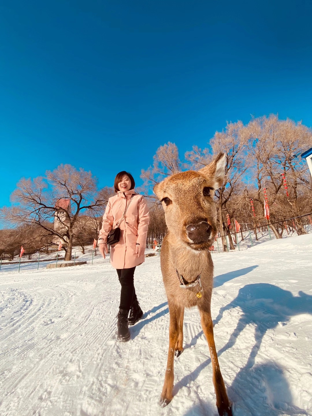 哈尔滨滑雪场几月份开放(有大优惠，赶紧安排上！哈尔滨这些冰雪旅游景区开放时间定了)