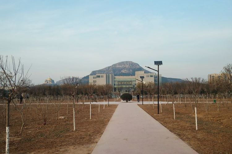 颜建国：半日暖阳，陪着92岁父亲包饺子