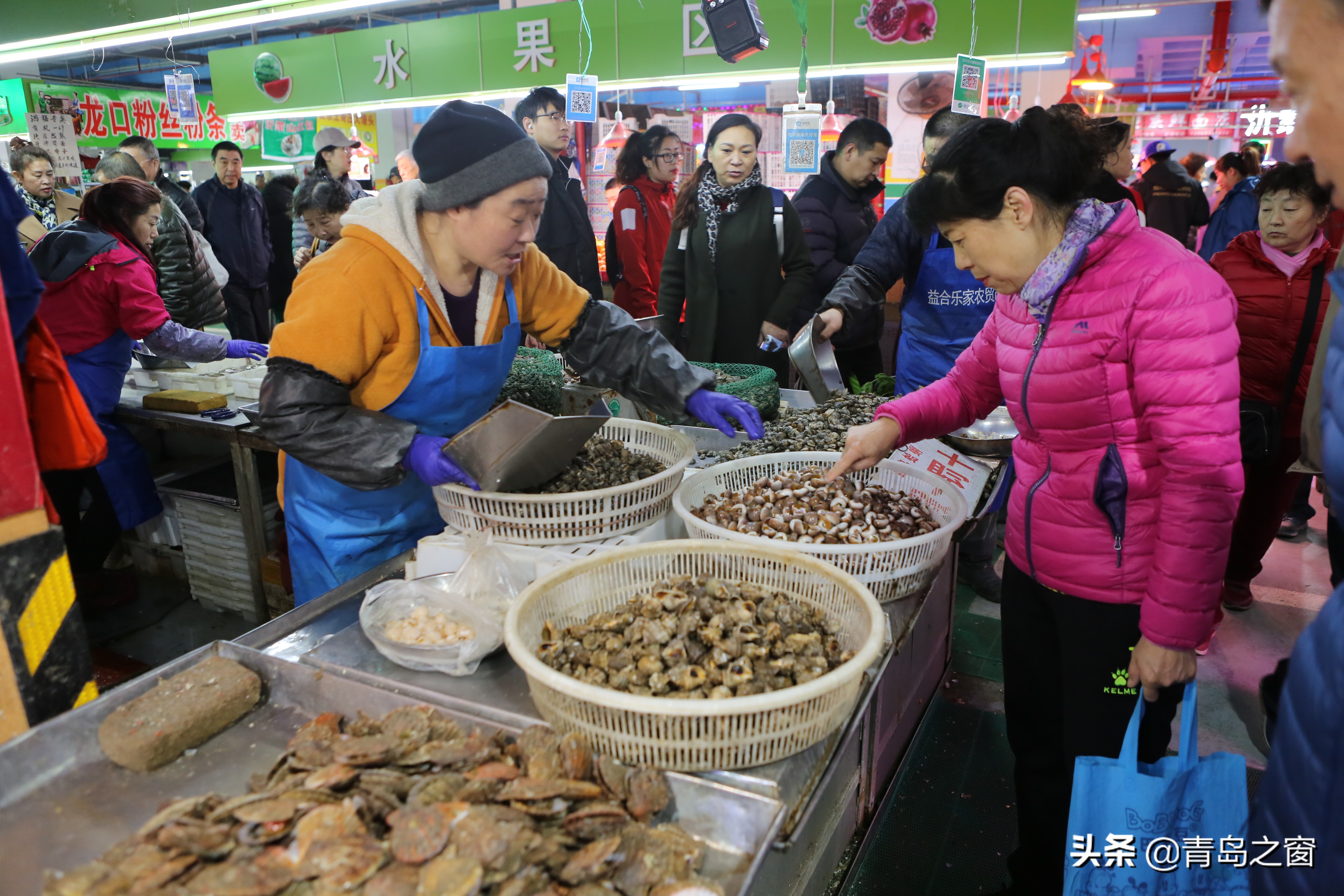蛏子跌至15元一斤 蛤蜊也降价了 扇贝、海蛎子价格依然坚挺