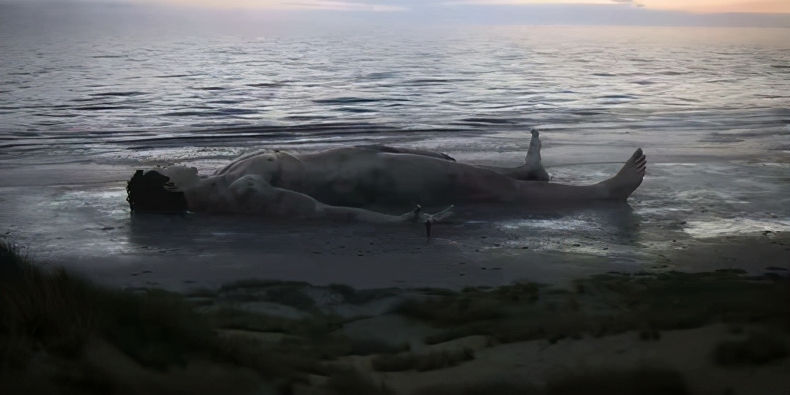 这集讲的啥呢,一具溺毙的巨人尸体被冲上了城市的海滩,人们从怀疑