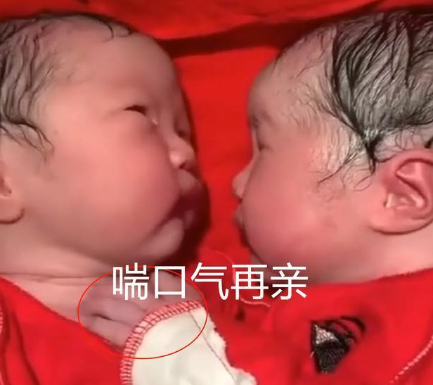 龙凤胎出生20分钟，妹妹就夺走哥哥“初吻”，网友：画面太暖心