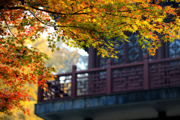 南京正是赏秋“好时节”，栖霞山美得不像话，这份旅游攻略要收好