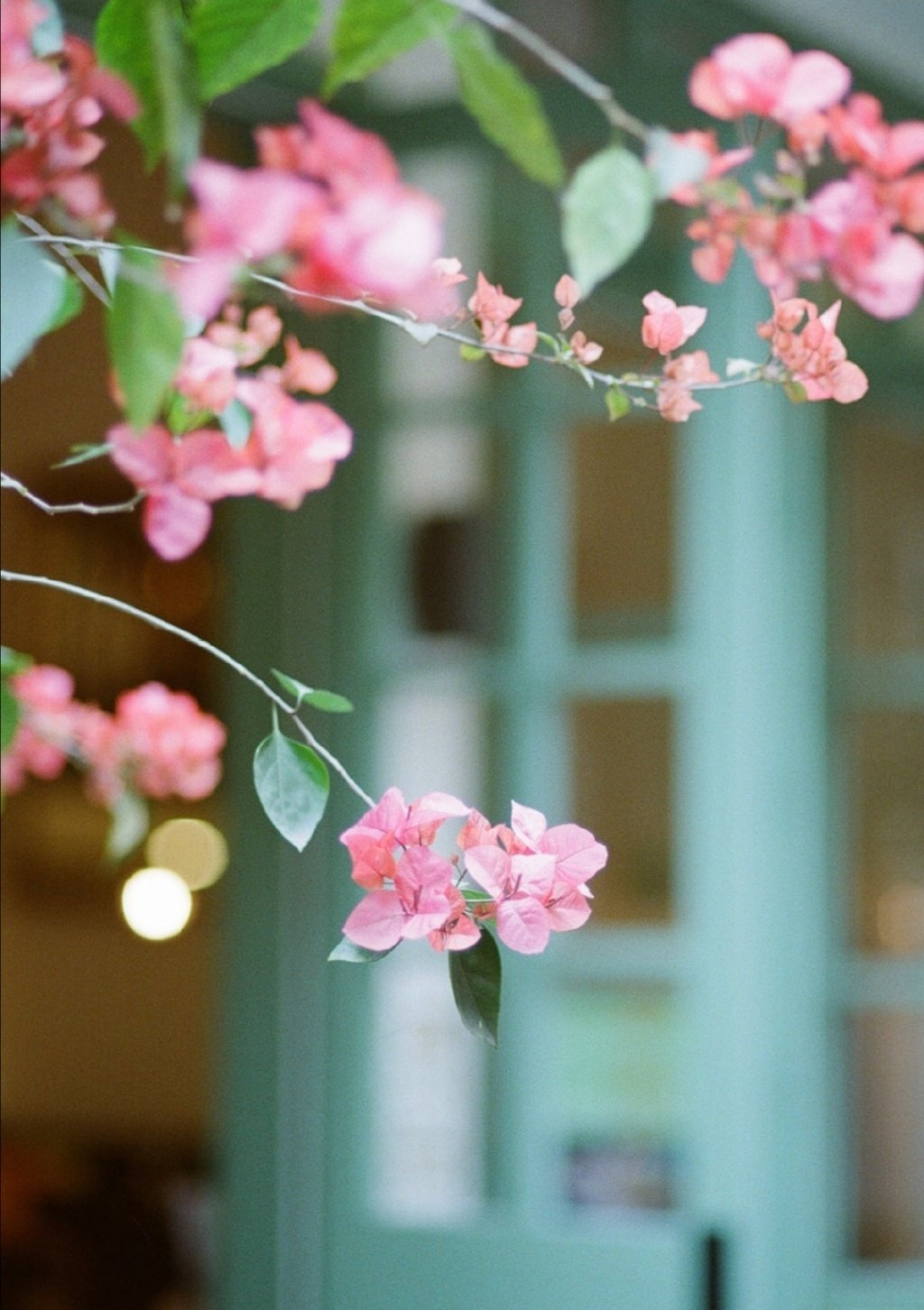 那些跟少年|美男有关的古风诗词