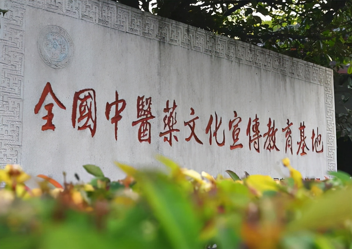 医圣故里续写仲景“传奇”南阳推进中医药高质量发展