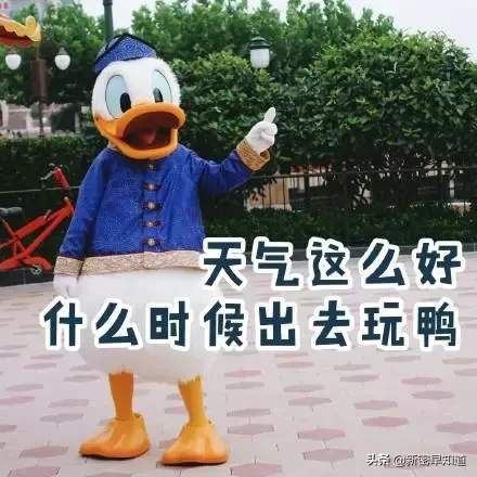 门票优惠!住宿半价!“5.19中国旅游日”新密周边景区推荐抢先看