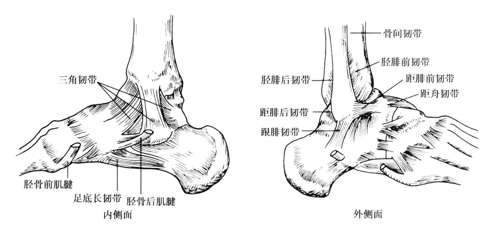 脚扭伤冰敷，休息就能好？小心留下后遗症