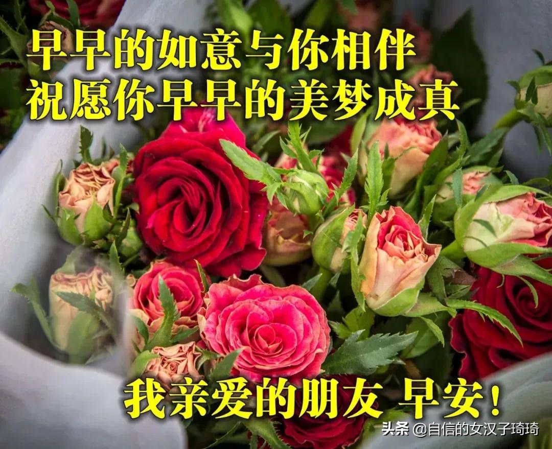 晚秋十月，愿你有衣暖身，有人暖心，不畏风霜，无惧忧伤。早安