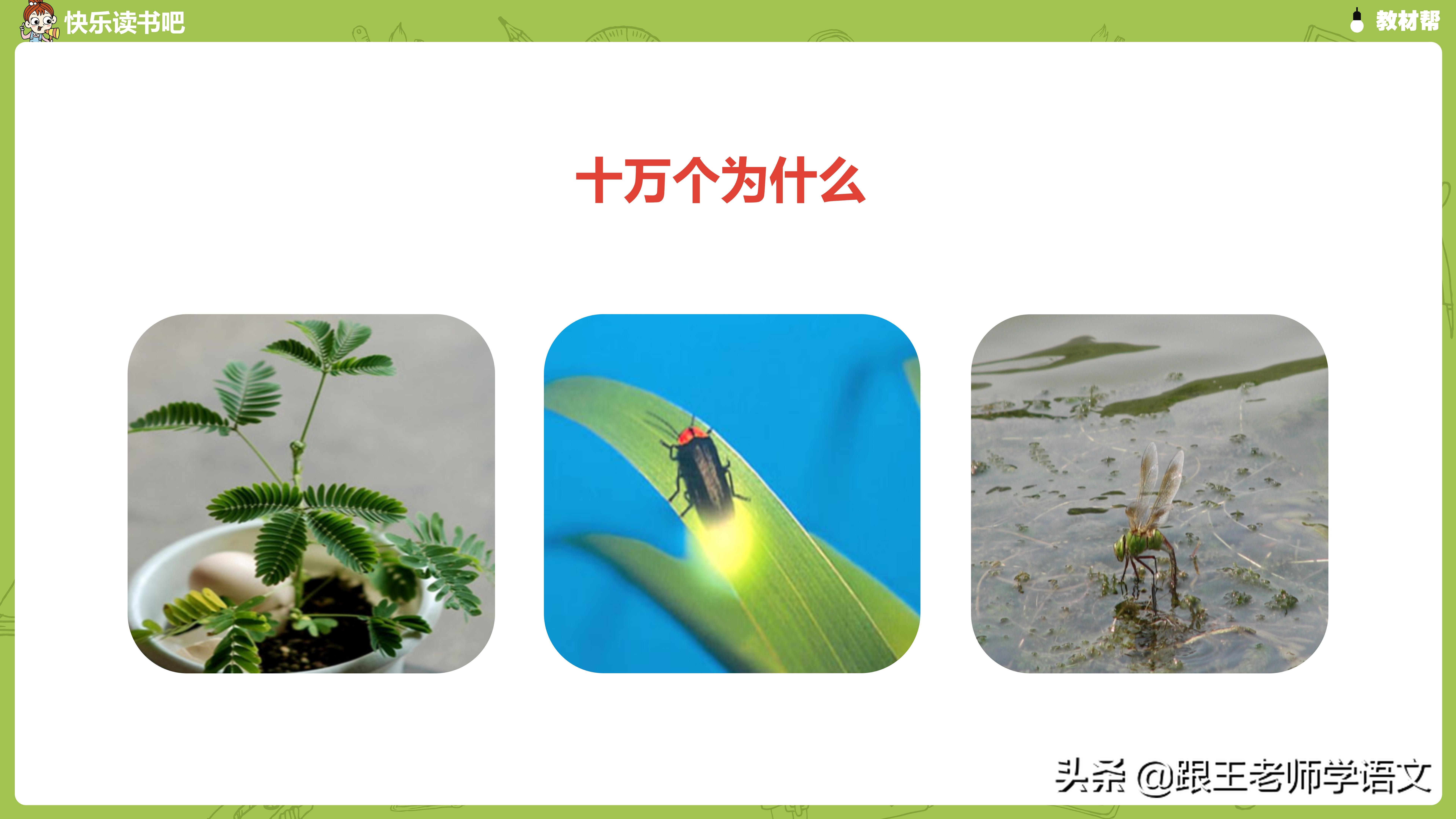 部编版四年级下册语文快乐读书吧《十万个为什么》知识点+图解