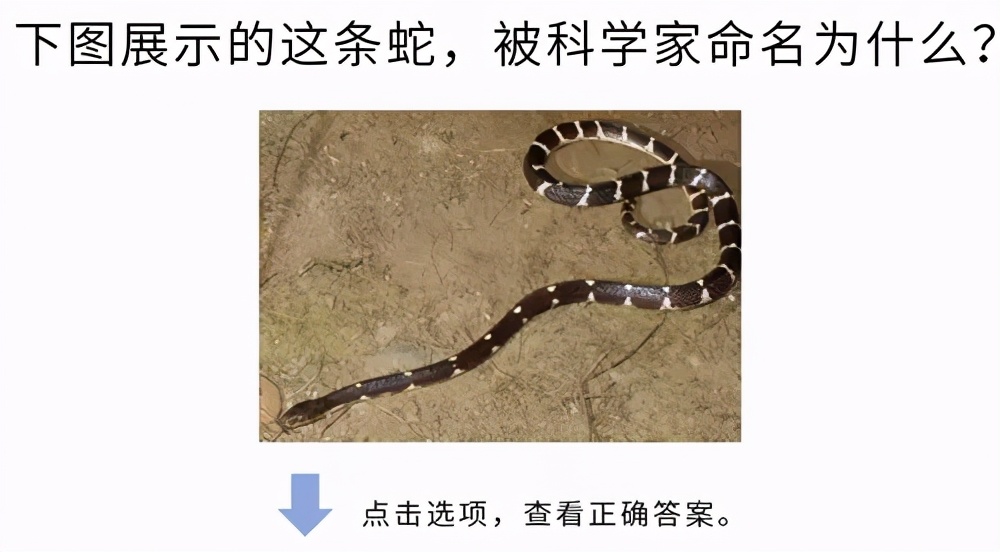 高考大作战！20道冷门又难解的试题等你来解答