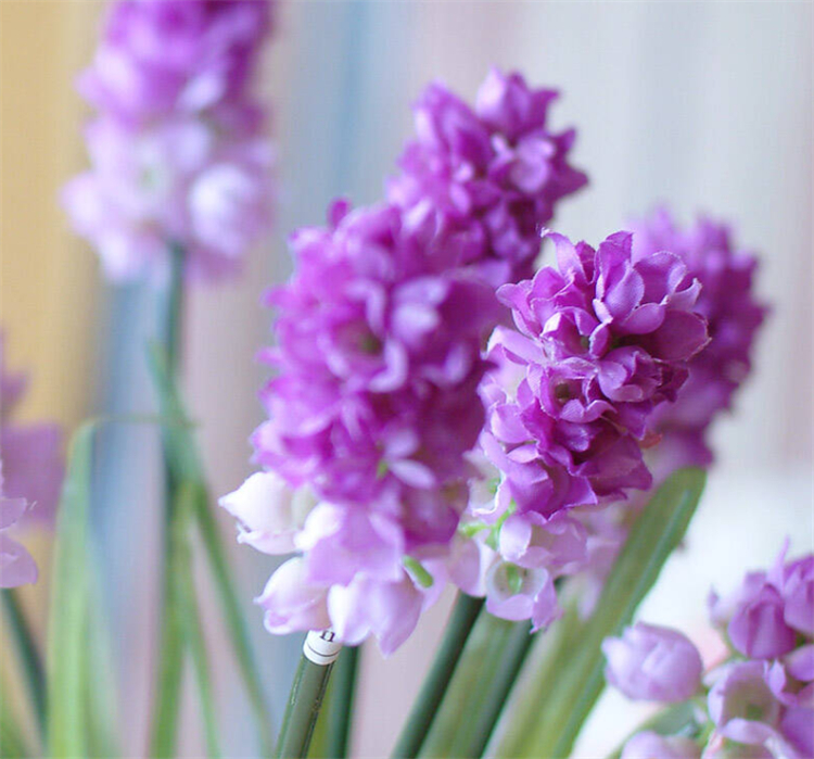求原谅送什么花好（分享8种鲜花为爱谅解）