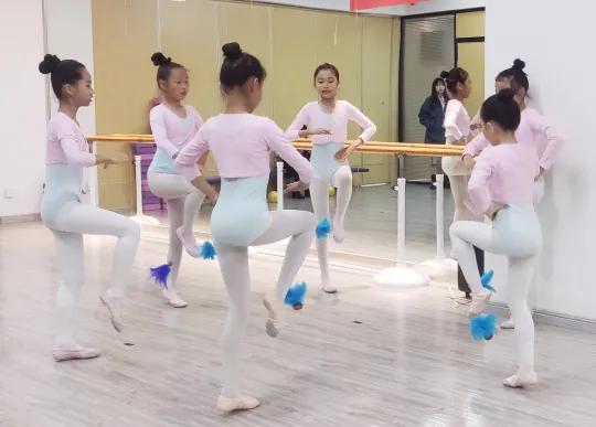 塞上江南·花儿绽放 | 宁夏考区学生考级精彩呈现