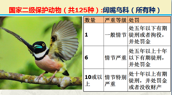 国家保护动物分几个等级（125类二级野生保护名录）