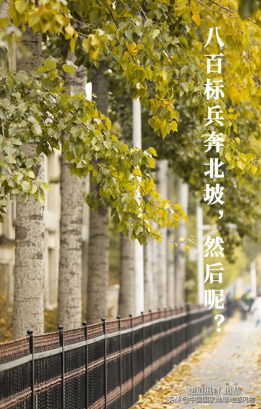 海底捞大学（中国传媒大学）