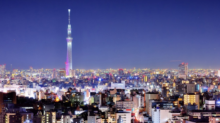 日本march大学（私立）