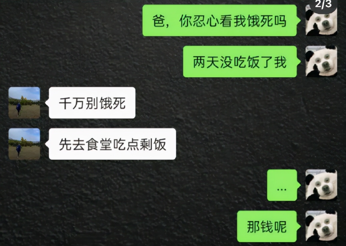 关于索要礼物的说说配图「幽默」 _qq说说网