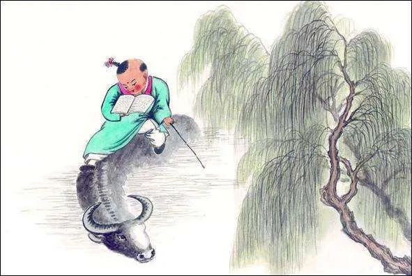 童子柳阴眠正着,一牛吃过柳荫西.
