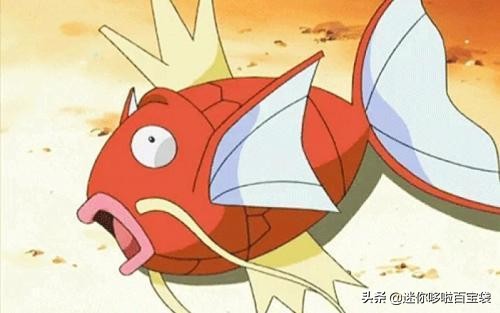 《神奇宝贝图鉴》No.129：传说中的深海大凶残——鲤鱼王
