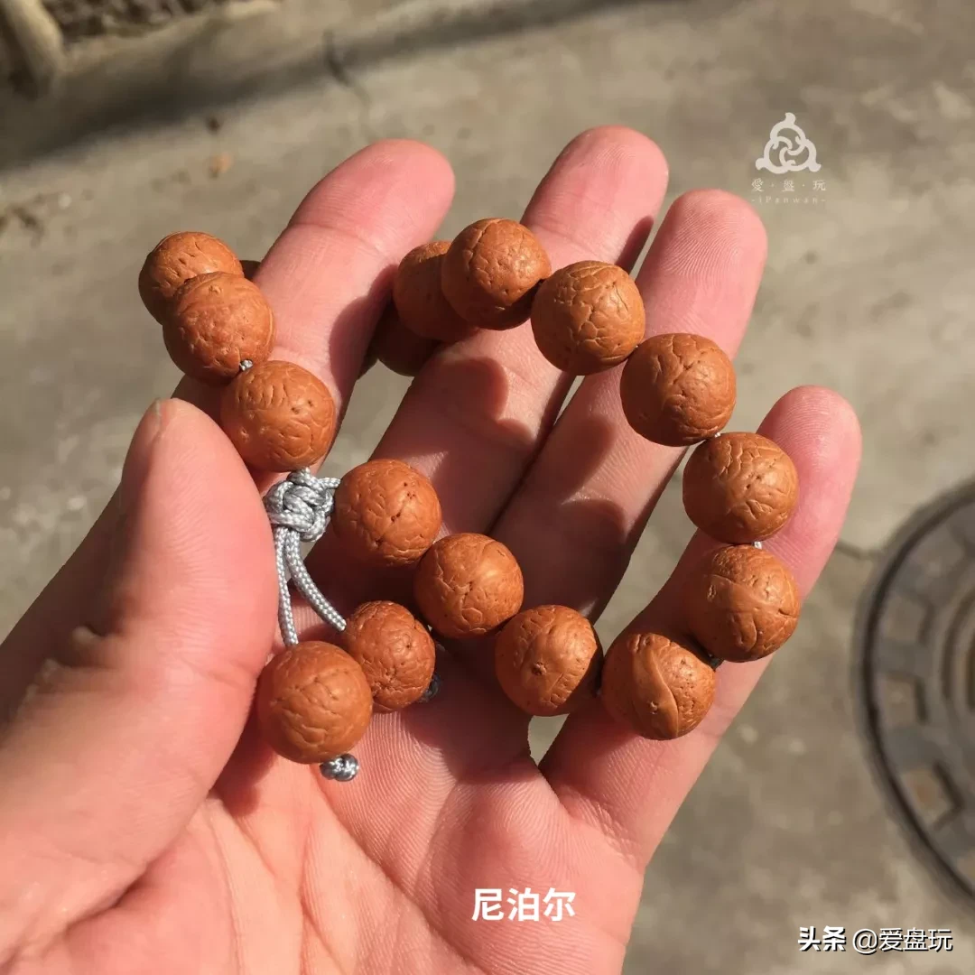 花了四位数，买了串凤眼，有人告诉我这是国产籽