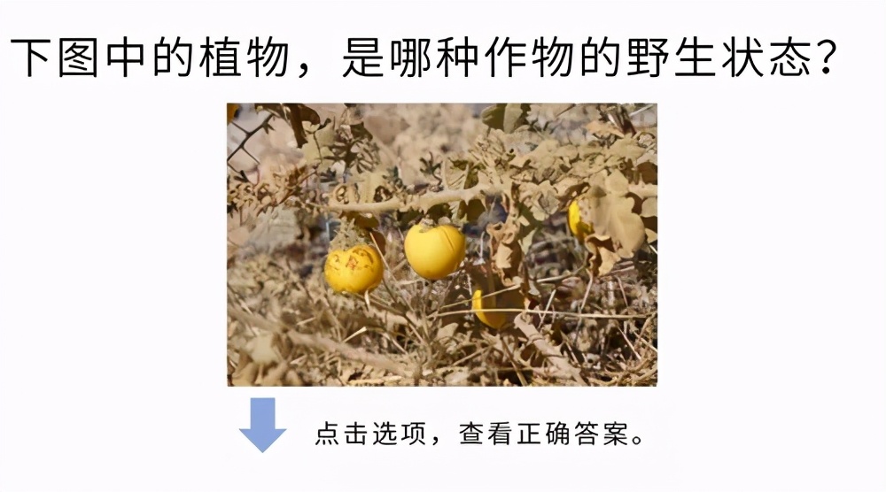 高考大作战！20道冷门又难解的试题等你来解答