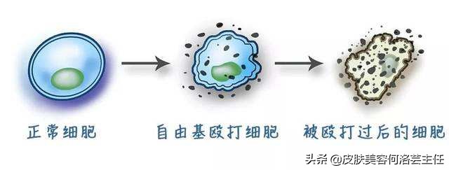 抗氧化是什么意思 抗氧化是智商税吗-人人投票
