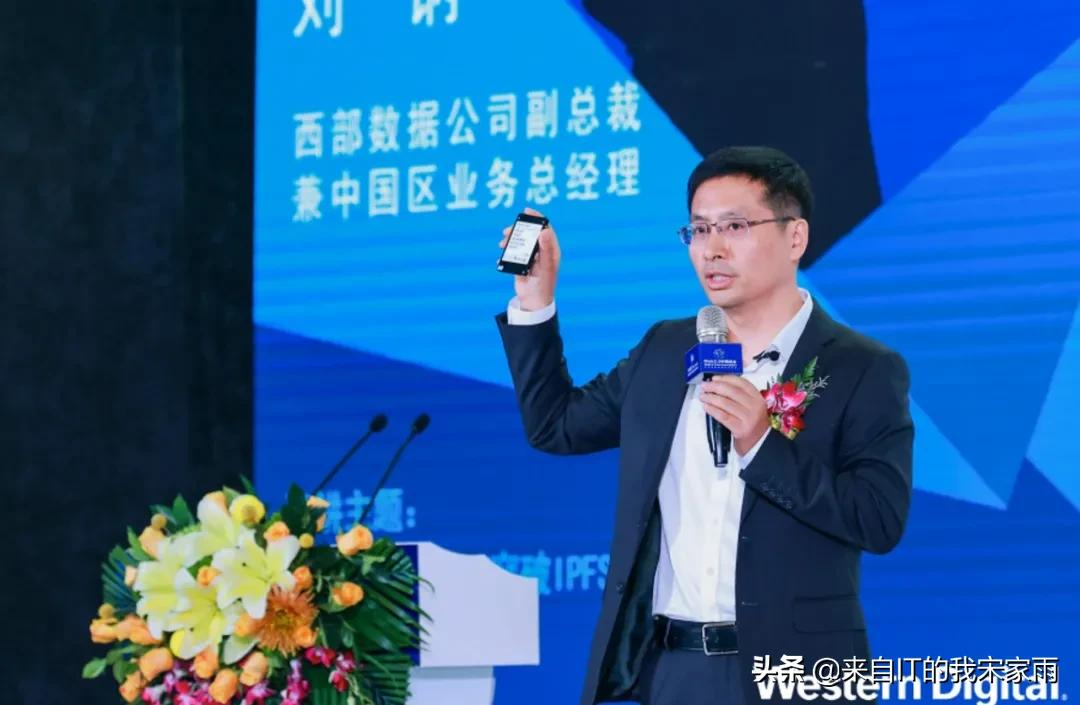 谁是“存储应用”的领先者?