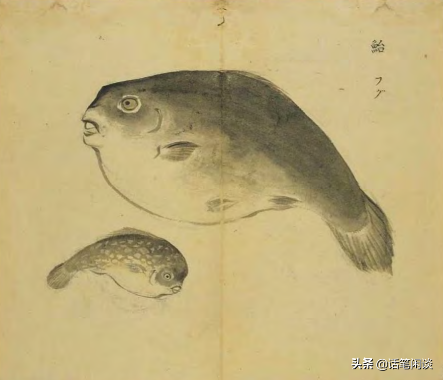 日本学者用心为《诗经》编了数百种图解，万物有灵，又美又细腻