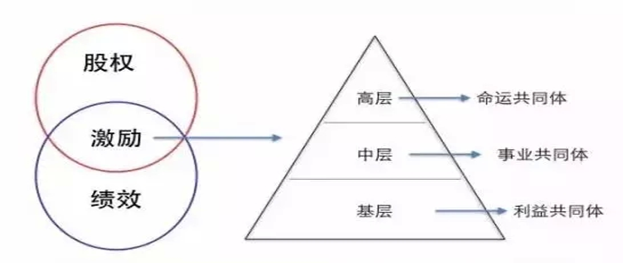 管理能力提升192：企业完善利益机制的核心之四：股权激励机制