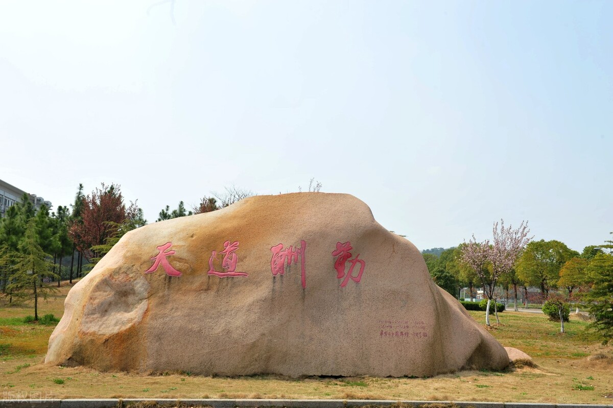 江苏省江苏大学临床医学类免试研究生招收专业目录