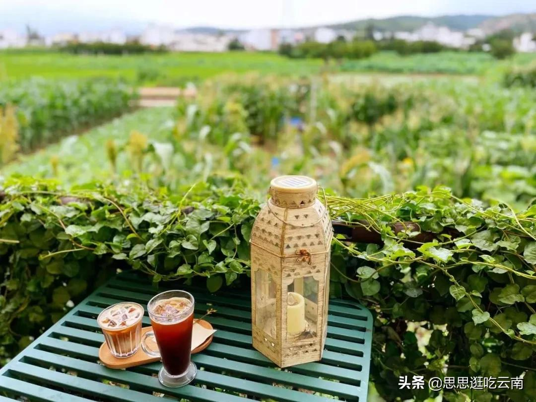 云南建水,藏在巷巷里的秘密花园,这些小店才是yyds