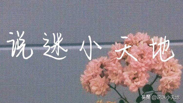 我会飞跃千山万水，只为在坠落的瞬间与你相遇。