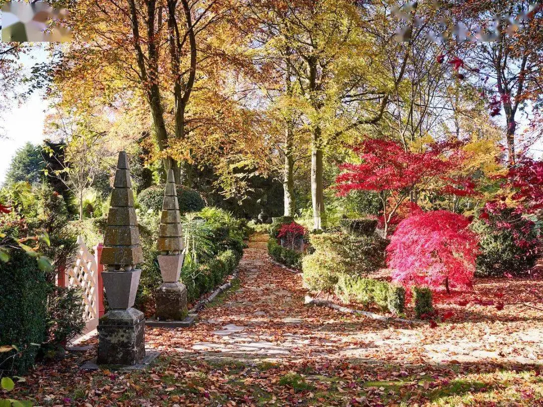 英国王储查尔斯王子的花园(查尔斯王子和他的梅格罗夫庄园)