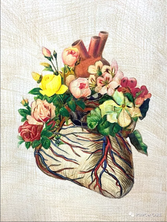 求学顶级医学院校是怎样的体验？23位院士坐镇，学霸大神云集！