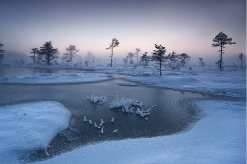 i love to watch fluffy snowflakes swirling and twirling down