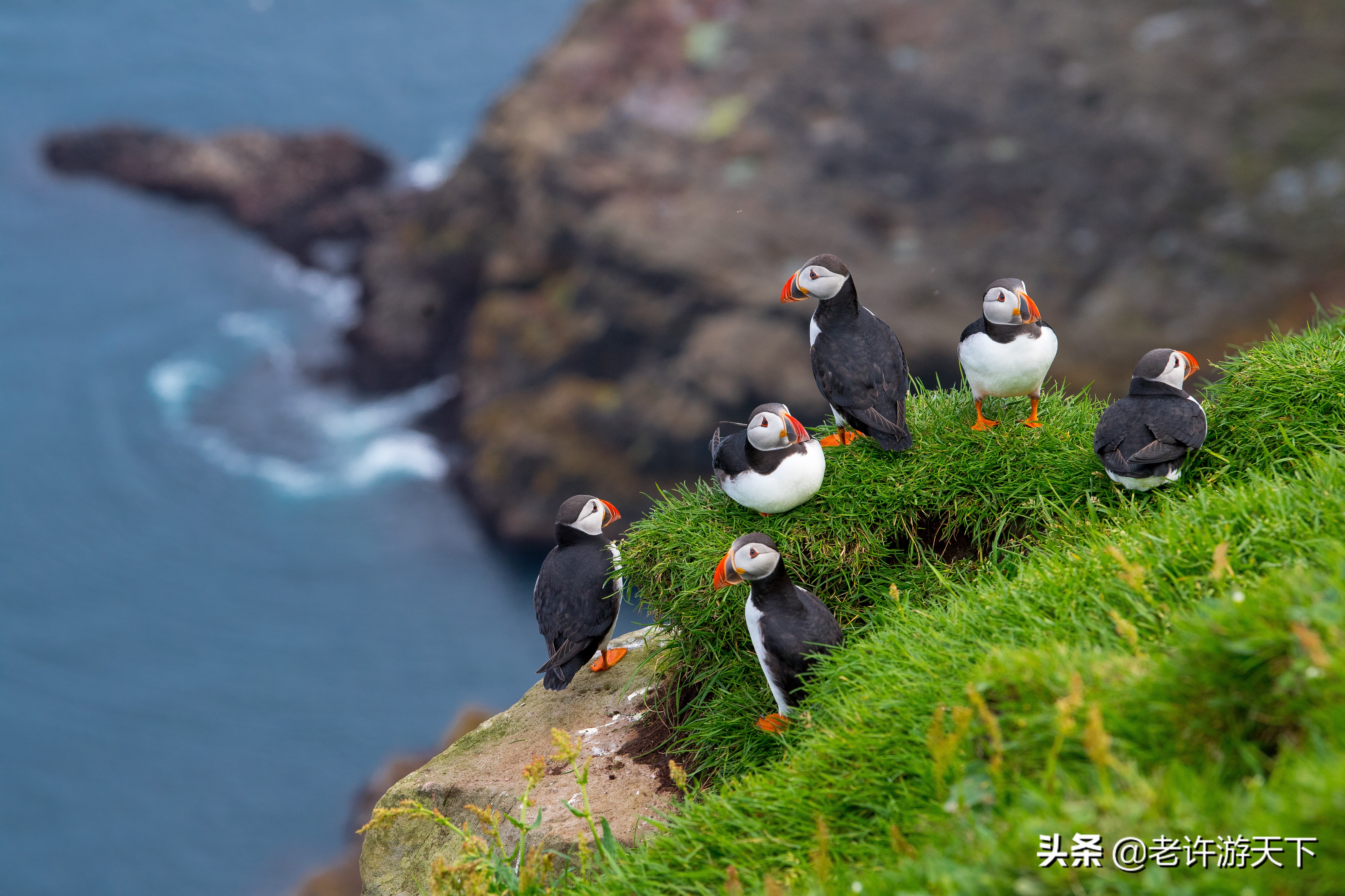 世界十大海岛旅游胜地（世界10个美丽海岛堪称度假胜地）